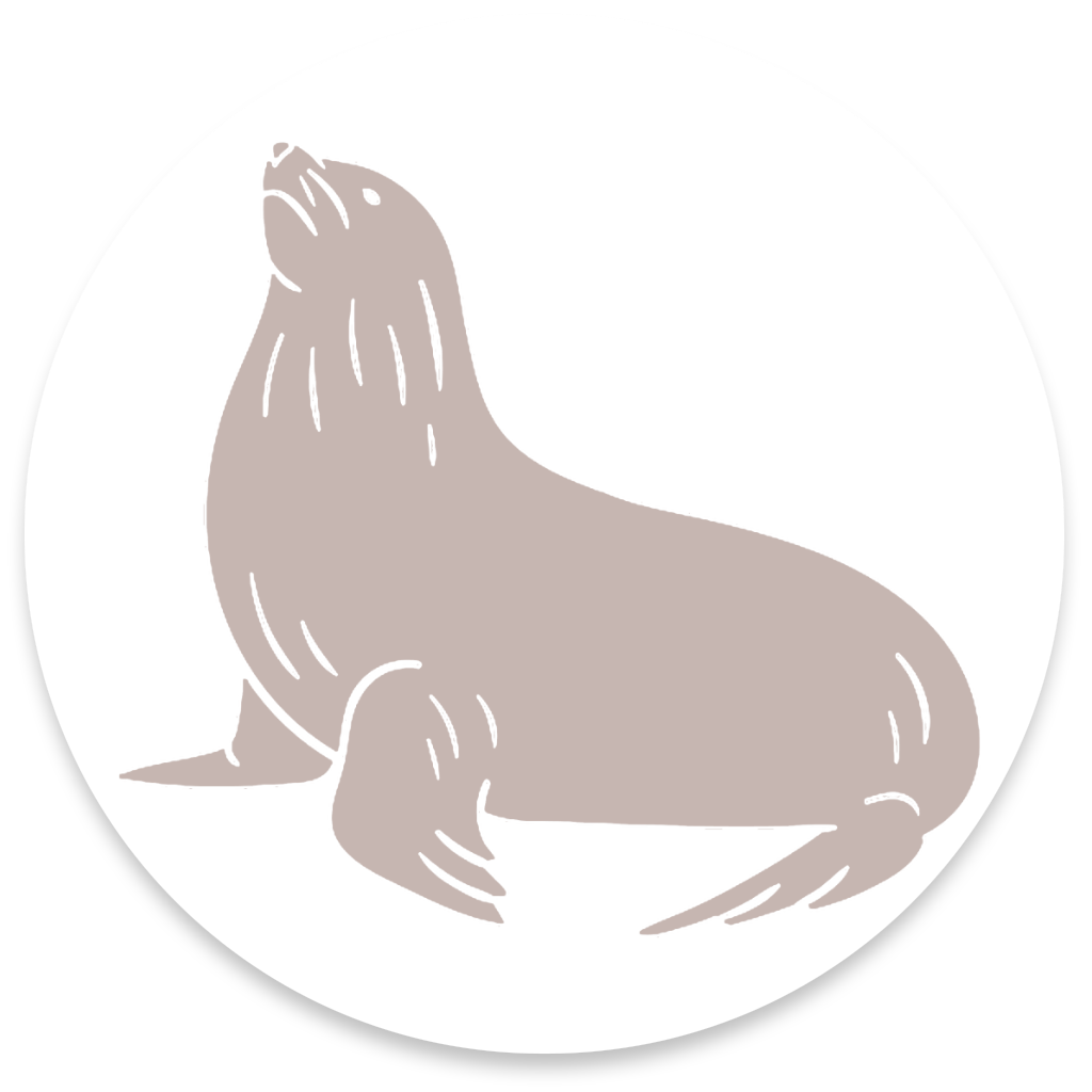 SeehundClaudiWidderTierkommunikationlernen2026 TierkommunikationKursAusbildung2026ClaudiWidderPremiumPenelopeSmith